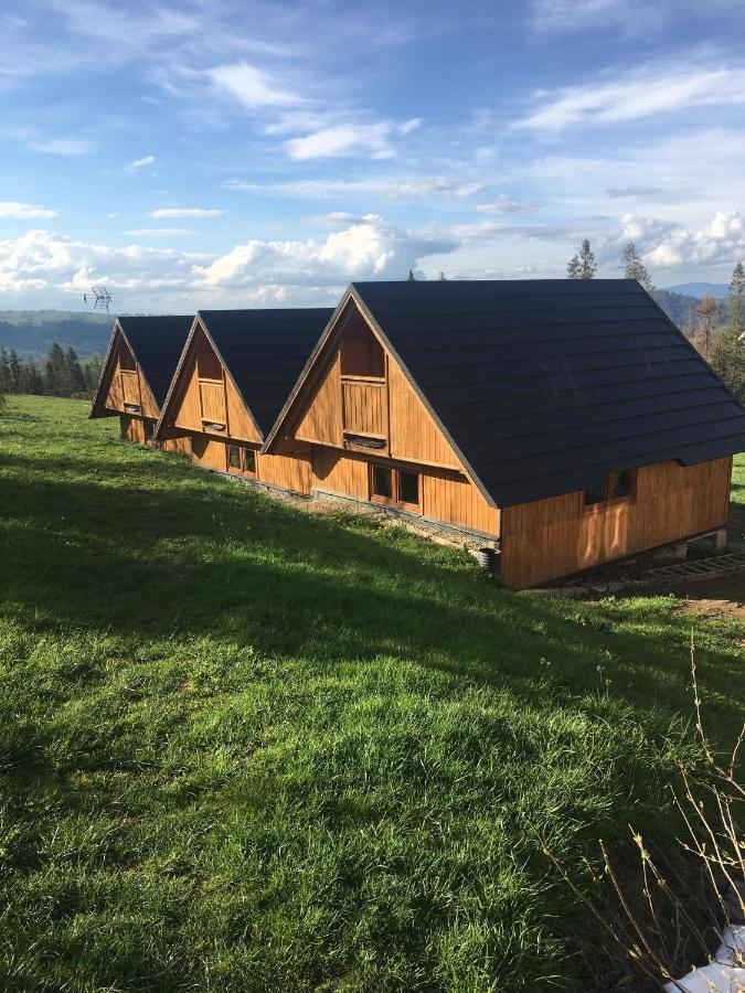 Domek Na Skarpce Zakopane Dış mekan fotoğraf